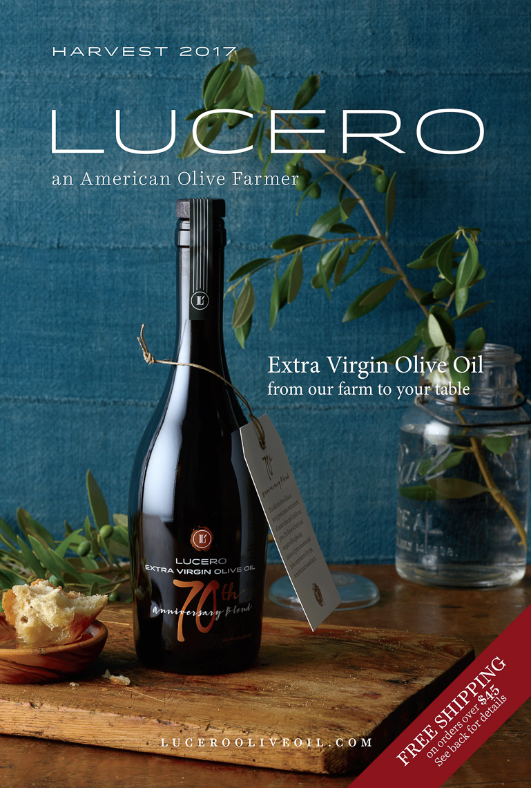 Lucero Catalog Photography